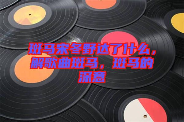 斑馬宋冬野達了什么，解歌曲斑馬，斑馬的深意