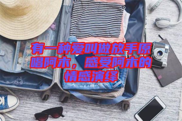 有一種愛叫做放手原唱阿木，感受阿木的情感演繹