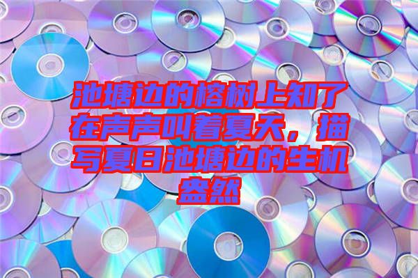 池塘邊的榕樹上知了在聲聲叫著夏天，描寫夏日池塘邊的生機(jī)盎然