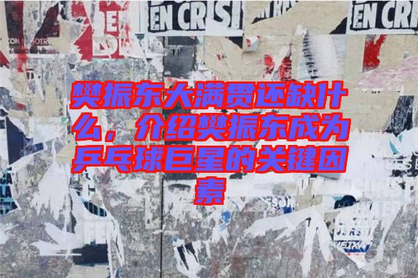 樊振東大滿貫還缺什么，介紹樊振東成為乒乓球巨星的關(guān)鍵因素