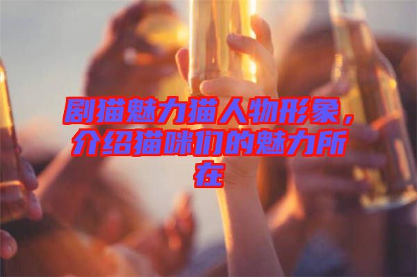 劇貓魅力貓人物形象，介紹貓咪們的魅力所在