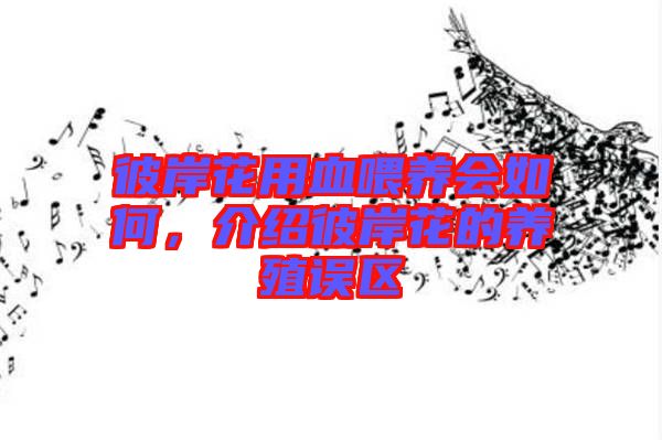 彼岸花用血喂養(yǎng)會如何，介紹彼岸花的養(yǎng)殖誤區(qū)