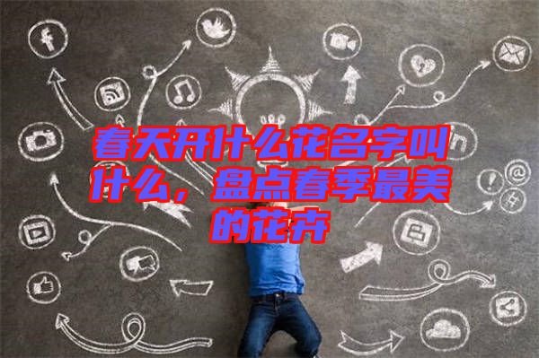 春天開什么花名字叫什么，盤點(diǎn)春季最美的花卉