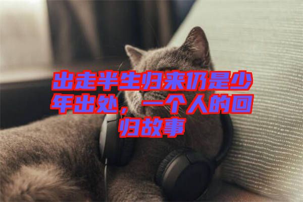 出走半生歸來仍是少年出處，一個人的回歸故事