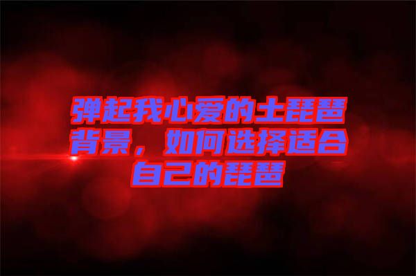彈起我心愛的土琵琶背景，如何選擇適合自己的琵琶