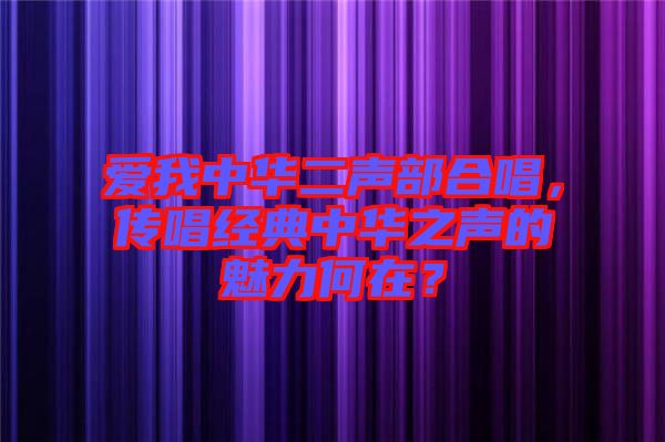 愛我中華二聲部合唱，傳唱經(jīng)典中華之聲的魅力何在？