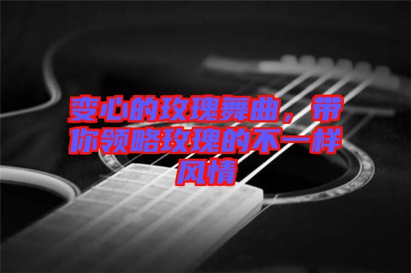 變心的玫瑰舞曲，帶你領略玫瑰的不一樣風情