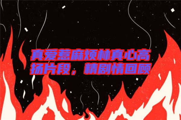 真愛惹麻煩林真心高揚(yáng)片段，精劇情回顧