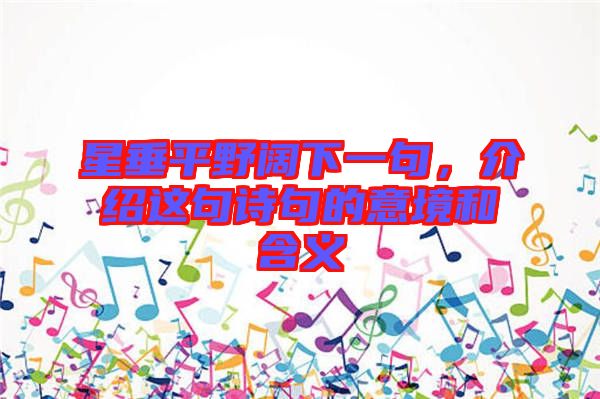 星垂平野闊下一句，介紹這句詩句的意境和含義
