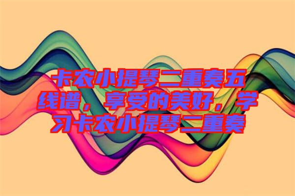 卡農(nóng)小提琴二重奏五線譜，享受的美好，學習卡農(nóng)小提琴二重奏