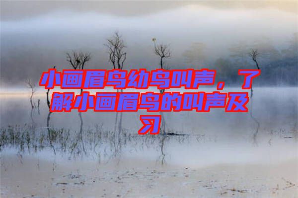 小畫(huà)眉鳥(niǎo)幼鳥(niǎo)叫聲，了解小畫(huà)眉鳥(niǎo)的叫聲及習(xí)