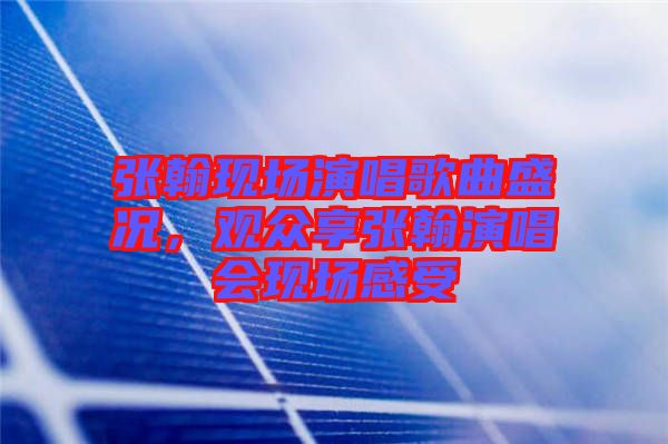 張翰現(xiàn)場(chǎng)演唱歌曲盛況，觀眾享張翰演唱會(huì)現(xiàn)場(chǎng)感受