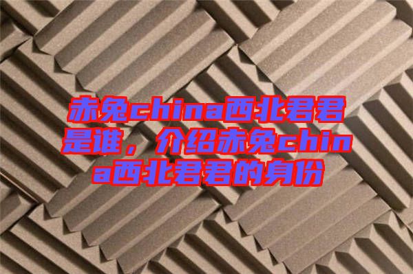 赤兔china西北君君是誰，介紹赤兔china西北君君的身份