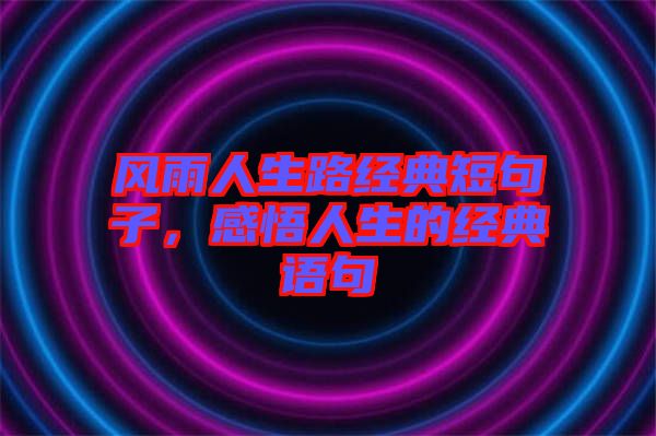 風(fēng)雨人生路經(jīng)典短句子，感悟人生的經(jīng)典語句