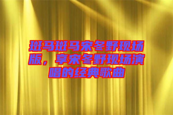 斑馬斑馬宋冬野現(xiàn)場版，享宋冬野現(xiàn)場演唱的經(jīng)典歌曲