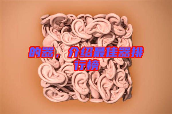 的器，介紹最佳器排行榜