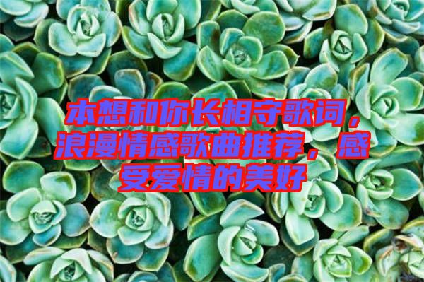 本想和你長相守歌詞，浪漫情感歌曲推薦，感受愛情的美好