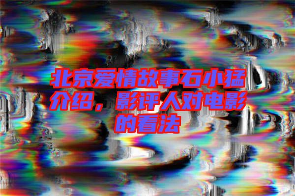 北京愛(ài)情故事石小猛介紹，影評(píng)人對(duì)電影的看法