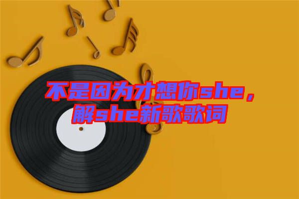 不是因?yàn)椴畔肽鉺he，解she新歌歌詞