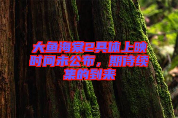 大魚海棠2具體上映時間未公布，期待續(xù)集的到來