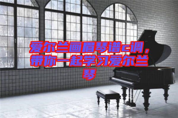 愛(ài)爾蘭畫(huà)眉琴譜c調(diào)，帶你一起學(xué)習(xí)愛(ài)爾蘭琴