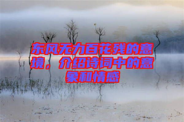 東風(fēng)無力百花殘的意境，介紹詩詞中的意象和情感
