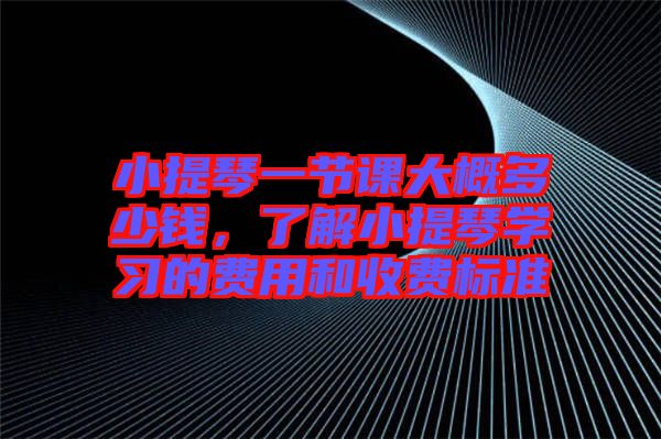 小提琴一節(jié)課大概多少錢，了解小提琴學習的費用和收費標準