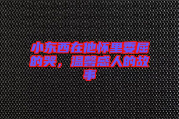 小東西在他懷里委屈的哭，溫馨感人的故事