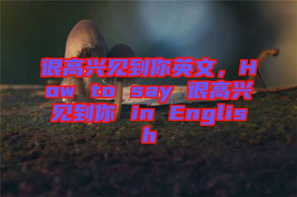 很高興見到你英文，How to say 很高興見到你 in English