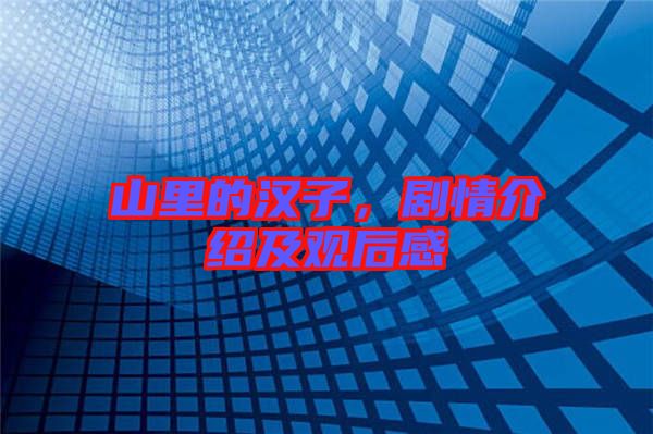 山里的漢子，劇情介紹及觀后感