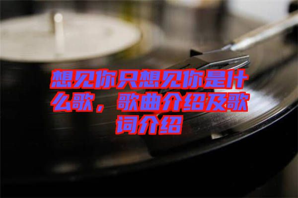 想見你只想見你是什么歌，歌曲介紹及歌詞介紹
