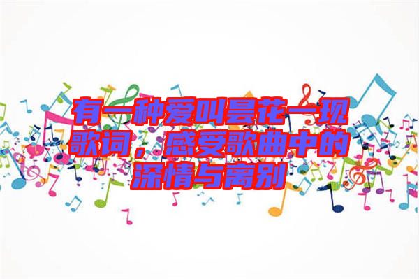 有一種愛(ài)叫曇花一現(xiàn)歌詞，感受歌曲中的深情與離別
