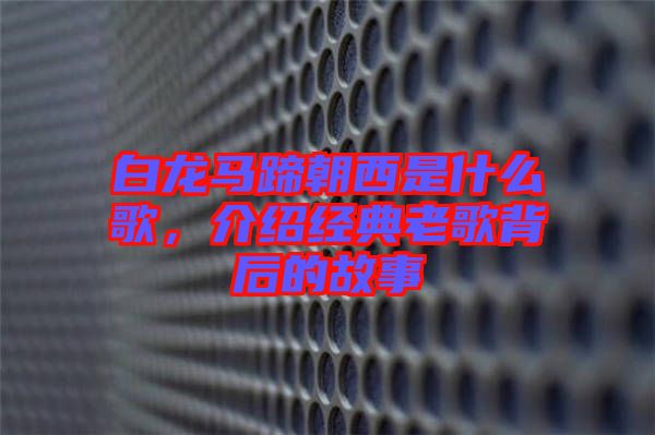 白龍馬蹄朝西是什么歌，介紹經(jīng)典老歌背后的故事