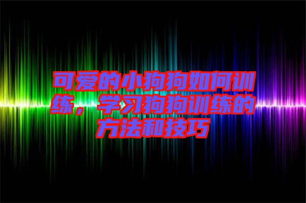 可愛(ài)的小狗狗如何訓(xùn)練，學(xué)習(xí)狗狗訓(xùn)練的方法和技巧