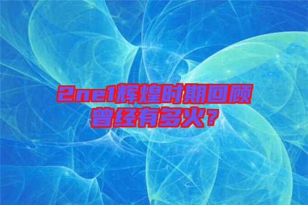 2ne1輝煌時期回顧曾經(jīng)有多火？