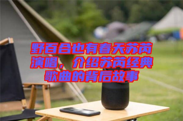 野百合也有春天蘇芮演唱，介紹蘇芮經(jīng)典歌曲的背后故事