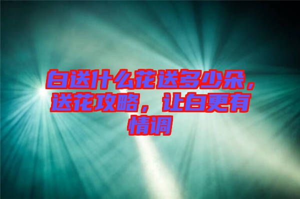 白送什么花送多少朵，送花攻略，讓白更有情調(diào)