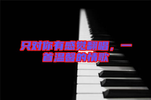 只對(duì)你有感覺翻唱，一首溫馨的情歌
