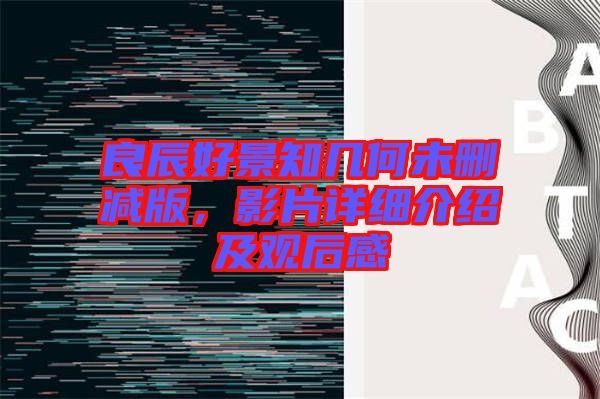 良辰好景知幾何未刪減版，影片詳細介紹及觀后感