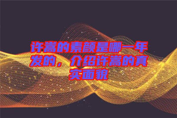 許嵩的素顏是哪一年發(fā)的，介紹許嵩的真實(shí)面貌