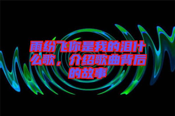 雨紛飛你是我的淚什么歌，介紹歌曲背后的故事