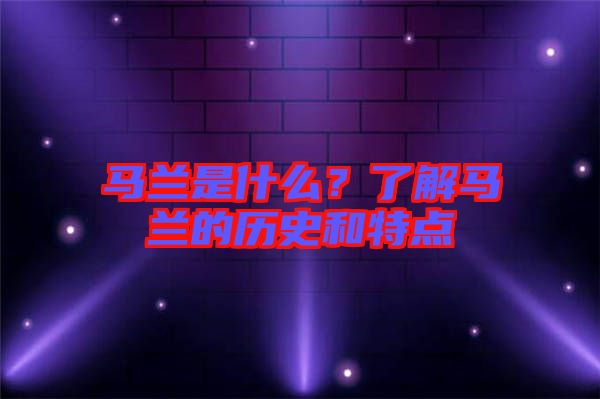 馬蘭是什么？了解馬蘭的歷史和特點(diǎn)