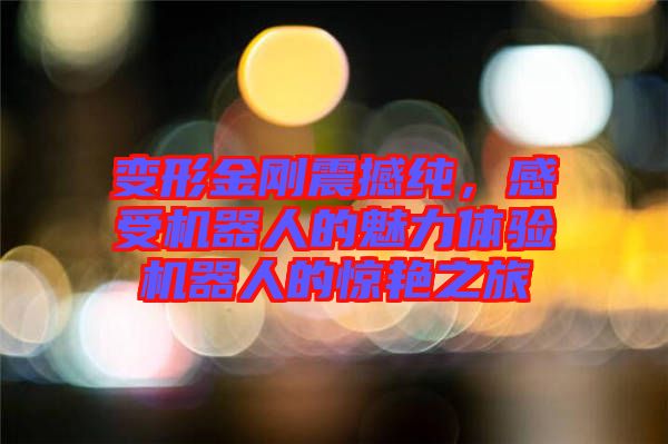變形金剛震撼純，感受機(jī)器人的魅力體驗(yàn)機(jī)器人的驚艷之旅