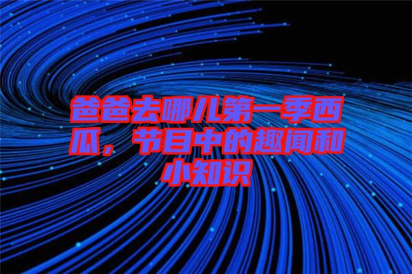 爸爸去哪兒第一季西瓜，節(jié)目中的趣聞和小知識(shí)