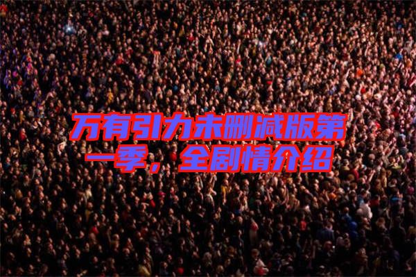 萬有引力未刪減版第一季，全劇情介紹