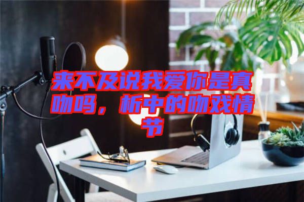 來不及說我愛你是真吻嗎，析中的吻戲情節(jié)