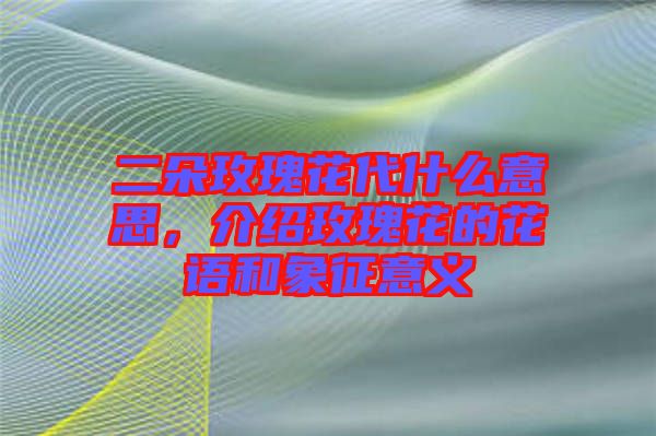 二朵玫瑰花代什么意思，介紹玫瑰花的花語和象征意義