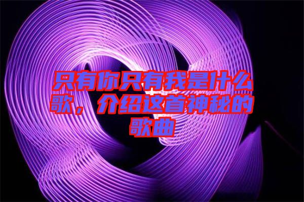 只有你只有我是什么歌，介紹這首神秘的歌曲