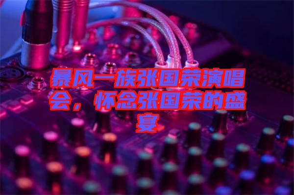 暴風(fēng)一族張國(guó)榮演唱會(huì)，懷念張國(guó)榮的盛宴
