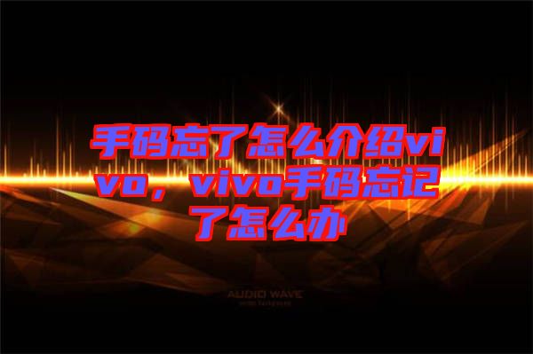 手碼忘了怎么介紹vivo，vivo手碼忘記了怎么辦